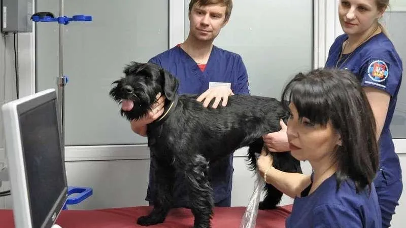 Минсельхоз МО