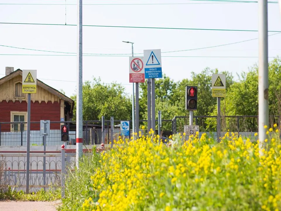 Фото: пресс-служба администрации г.о. Кашира