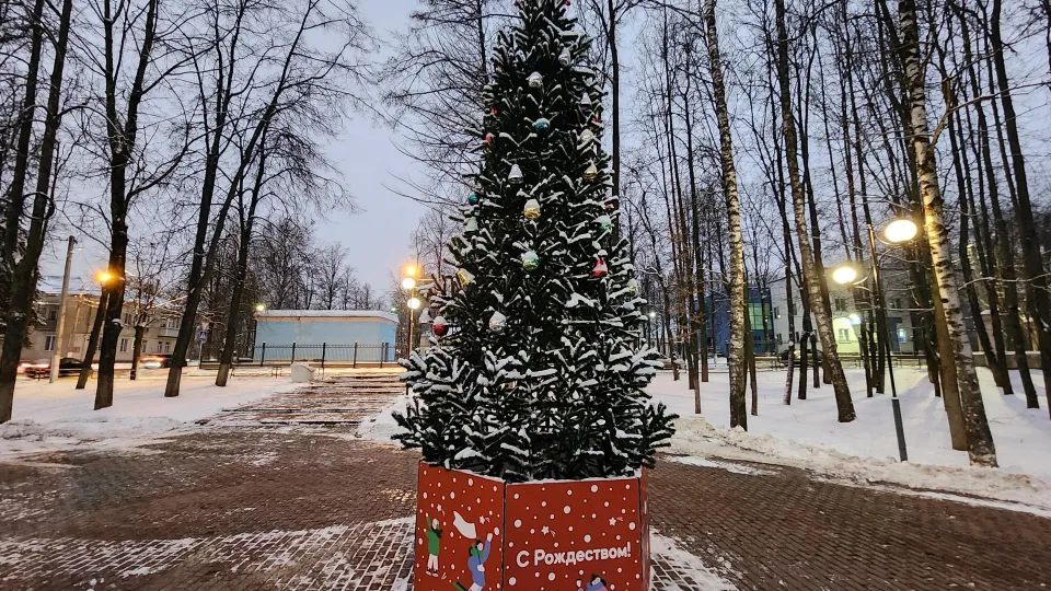 Фото: Дмитрий Алексеенко