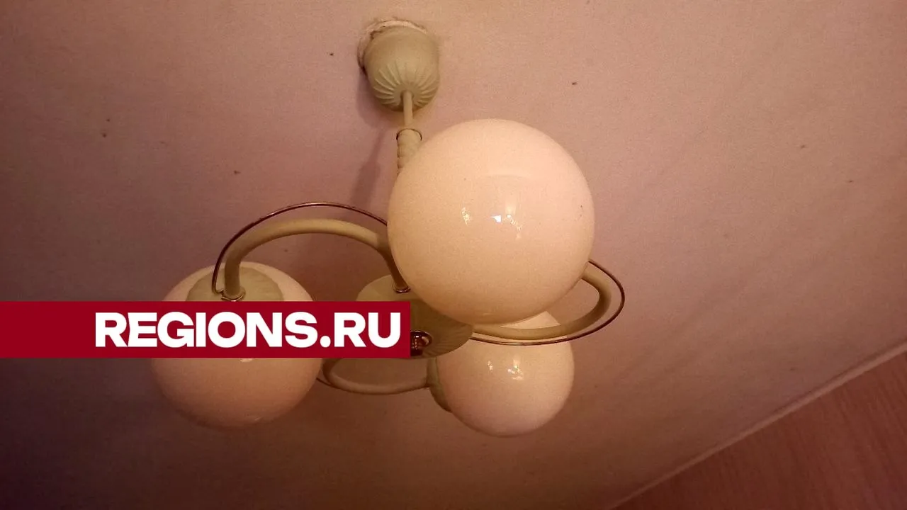 Фото: Олег Книжник