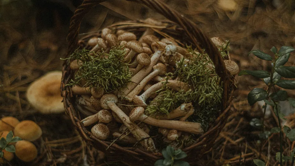 Фото: unsplash.com