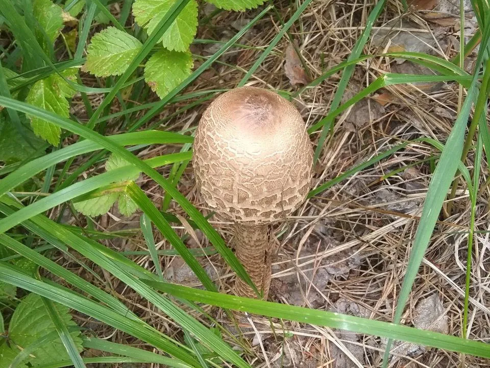 Фото: Юлия Куделькина