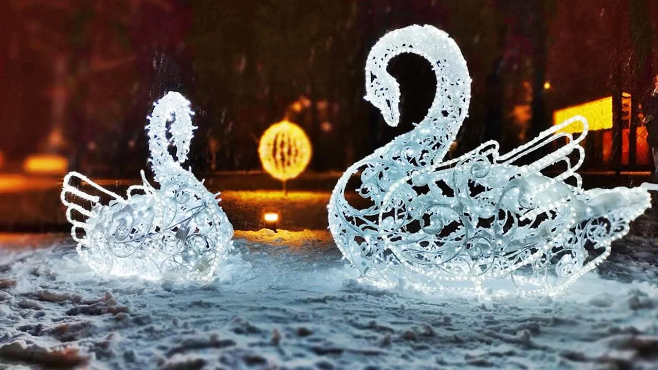 REGIONS/Алексей Селиверстов