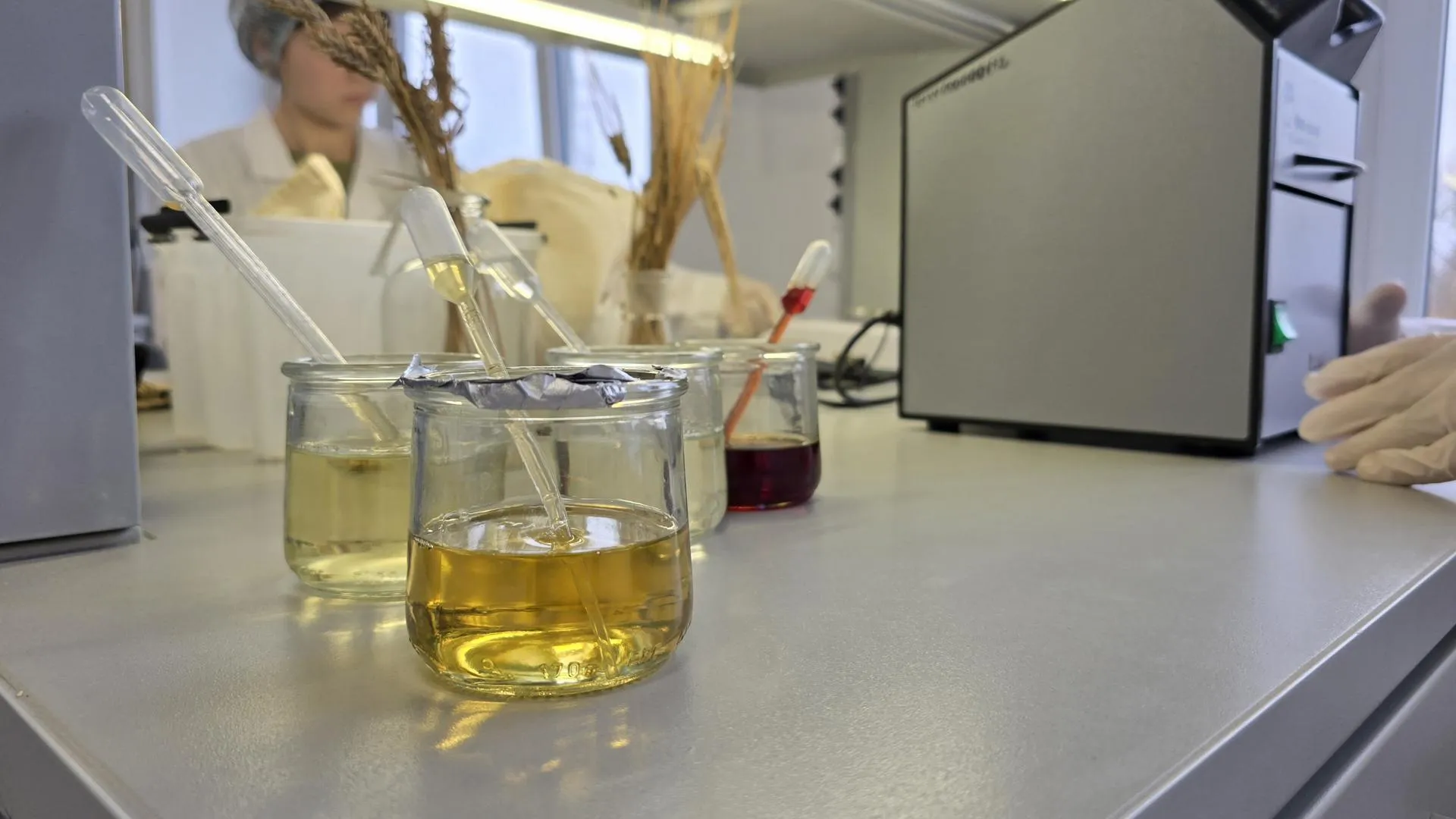 МедиаБанк Подмосковья/Марина Анисимова