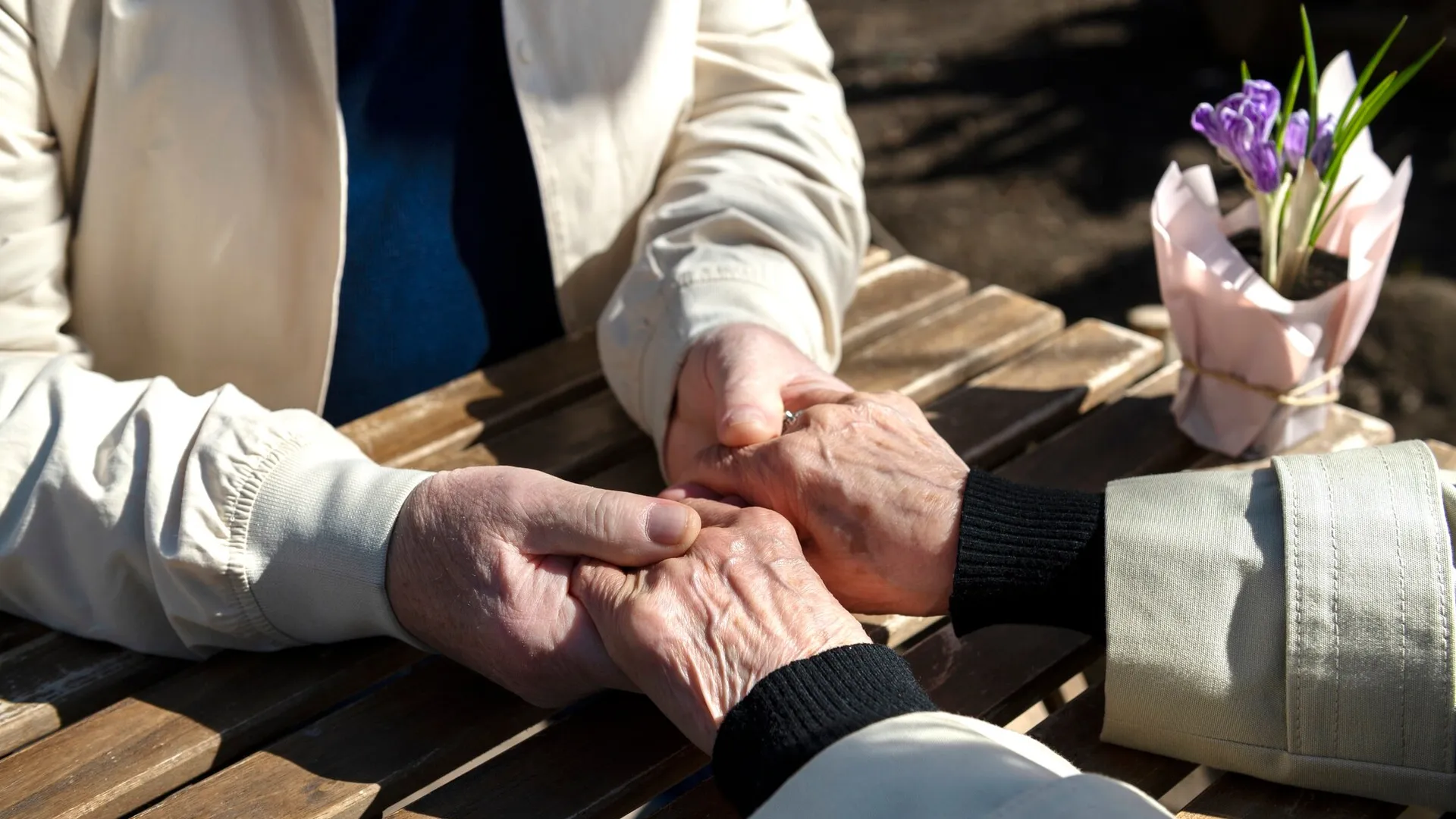 Фото: freepik.com