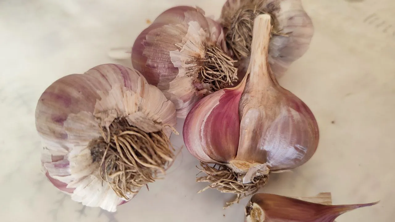 Фото: REGIONS/Елена Забелина