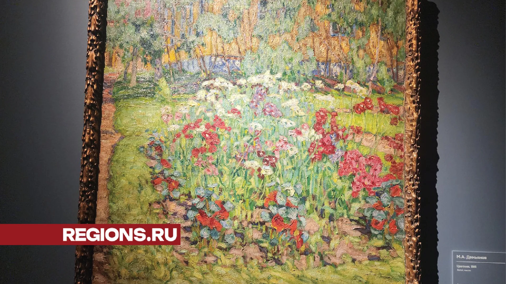 Фото: Хавива Фонина