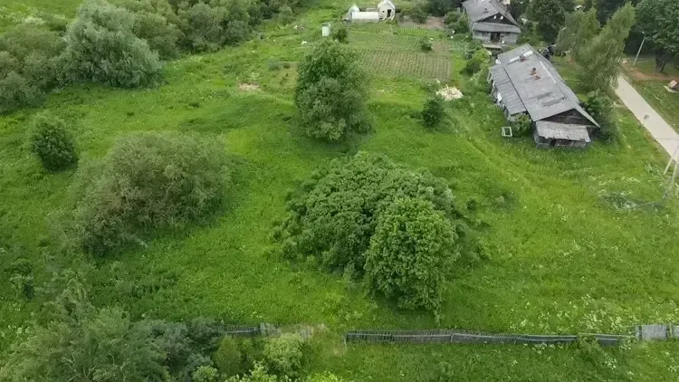 Участок на торгах в Подмосковье