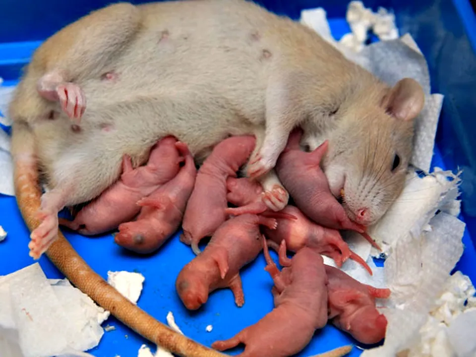 Фото: istockphoto.com