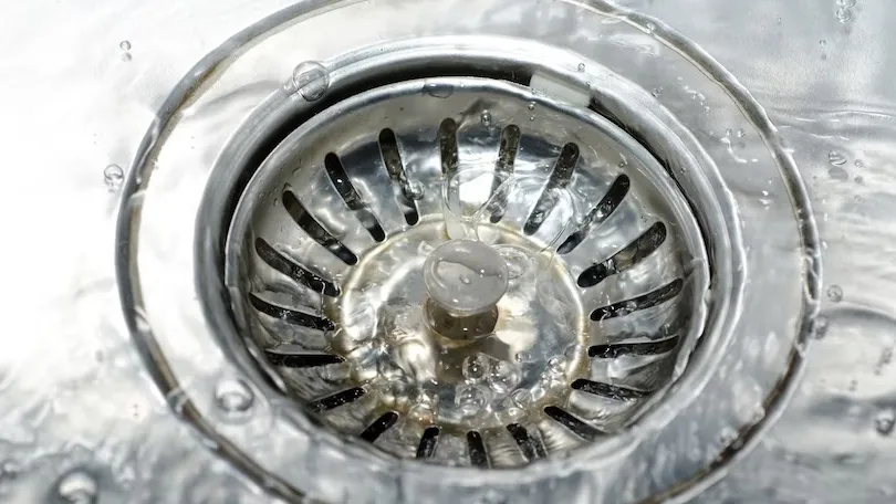 фото Freepik.com