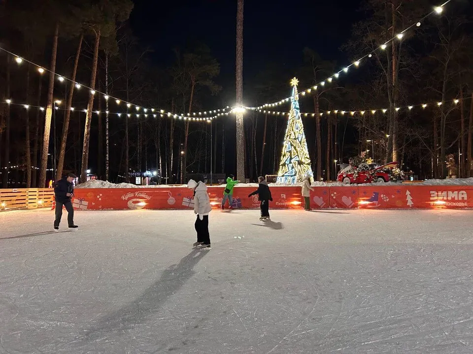 Фото: Министерство благоустройства Московской области