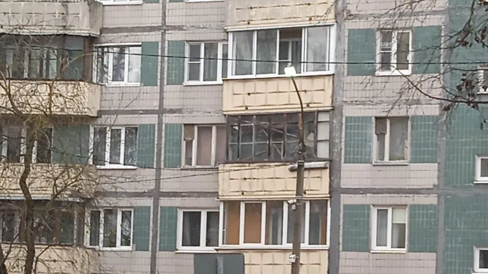 Фото: пресс-служба администрации г.о. Клин