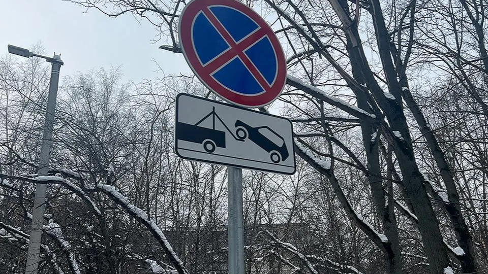 Фото: МедиаБанк Подмосковья/Валерия Ерофеева