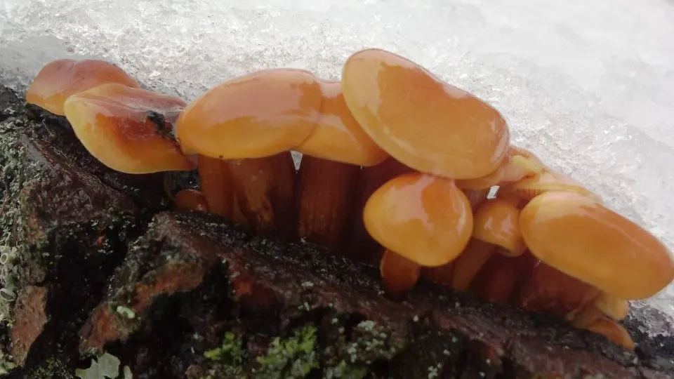 Фото: Наталья Соколова