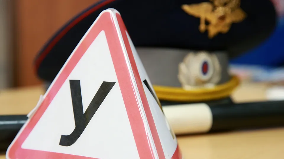 Фото: ТАСС/Сергей Фадеичев