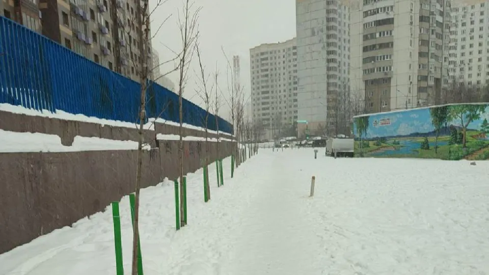 Фото: Администрация Одинцовского г. о.