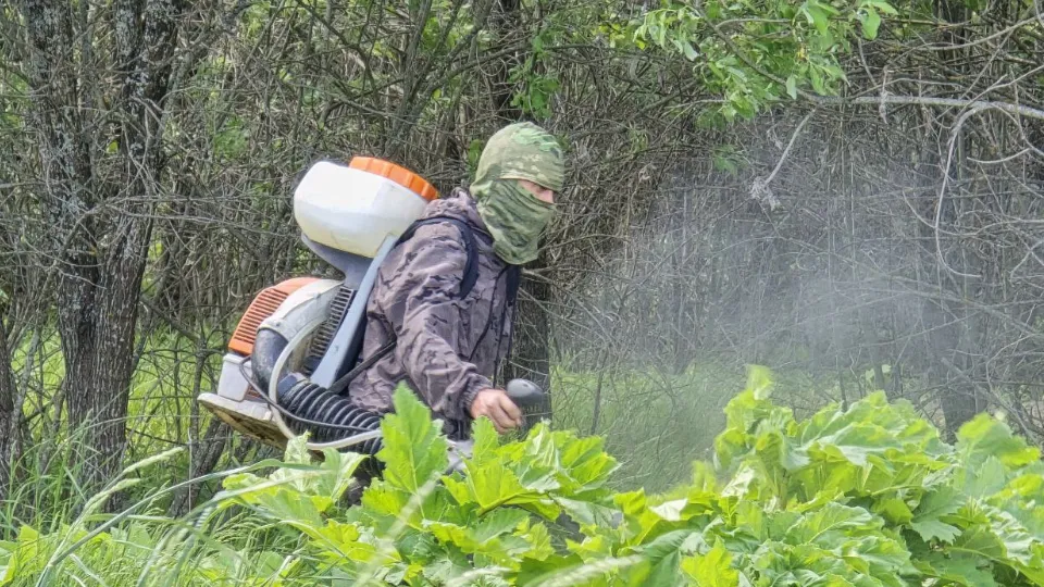 Фото: МедиаБанк Подмосковья/Яна Шаливская