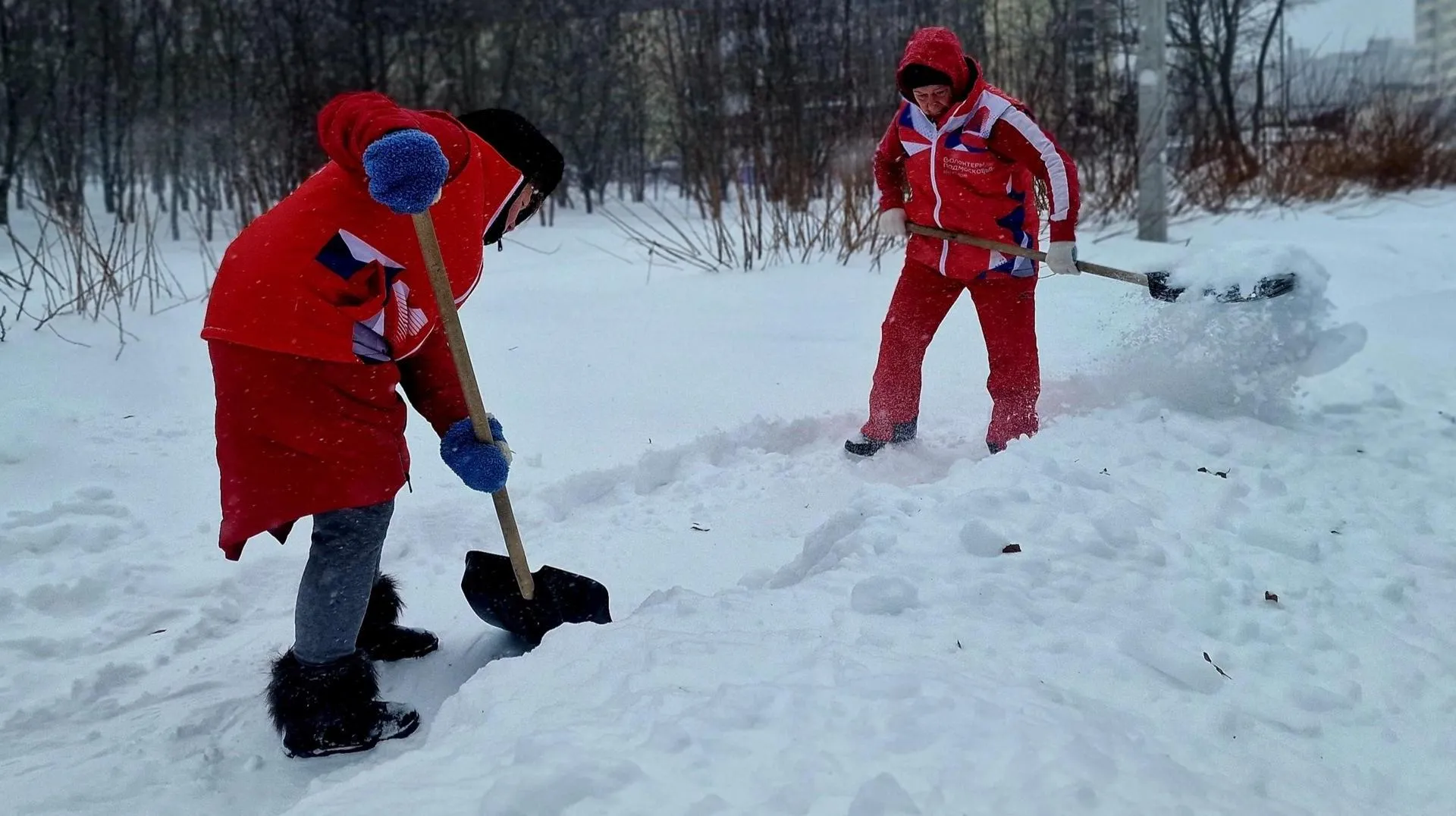 REGIONS/Ольга Шаронова