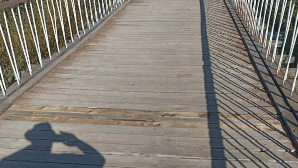 Фото: пресс-служба Администрации г.о. Солнечногорск