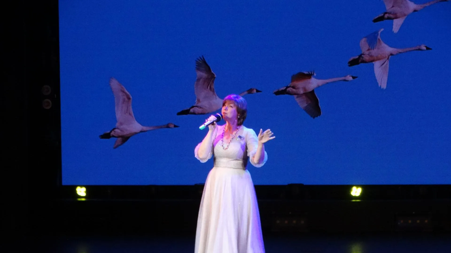 пресс-служба администрации Раменского муниципального округа