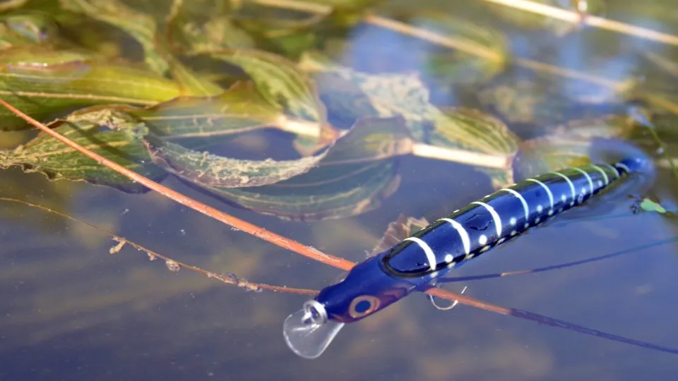 Фото: медиасток.рф