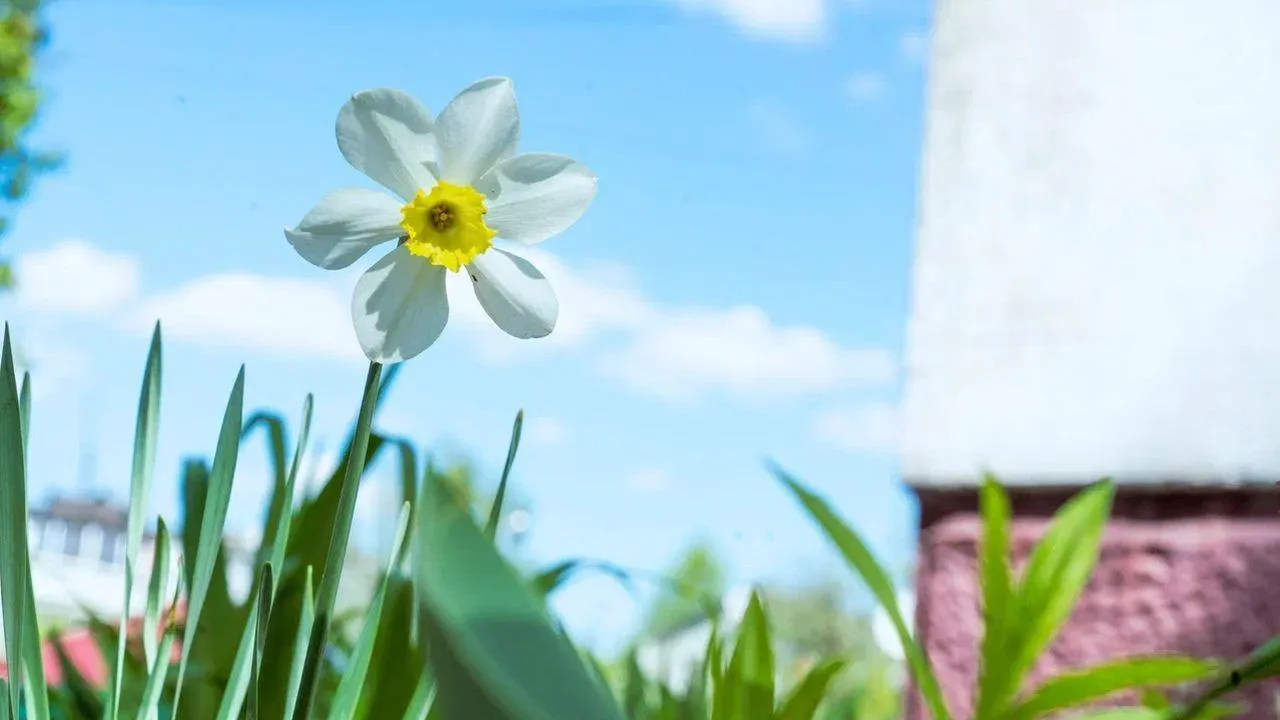 REGIONS/Наталья Надточая