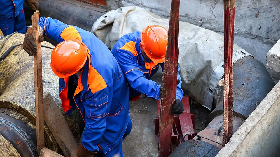 Фото: Медиаархив Подмосковья