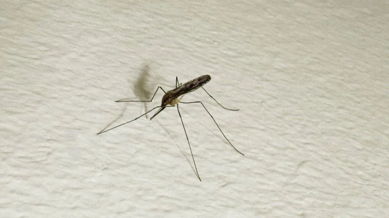 REGIONS/Илья Попов