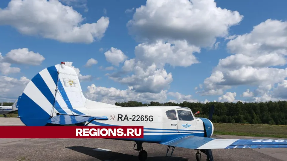 Фото: Мария Панина