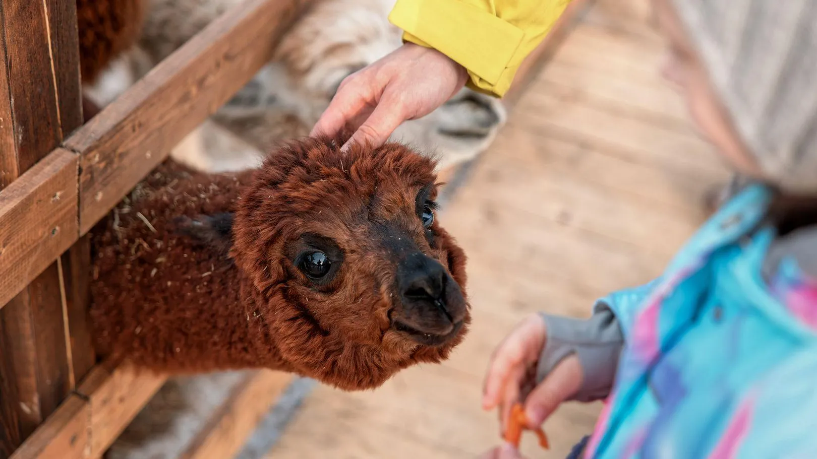 медиасток.рф