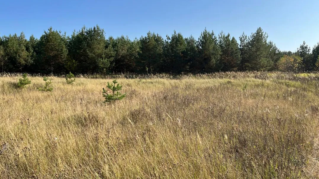 Комитет по конкурентной политике Московской области