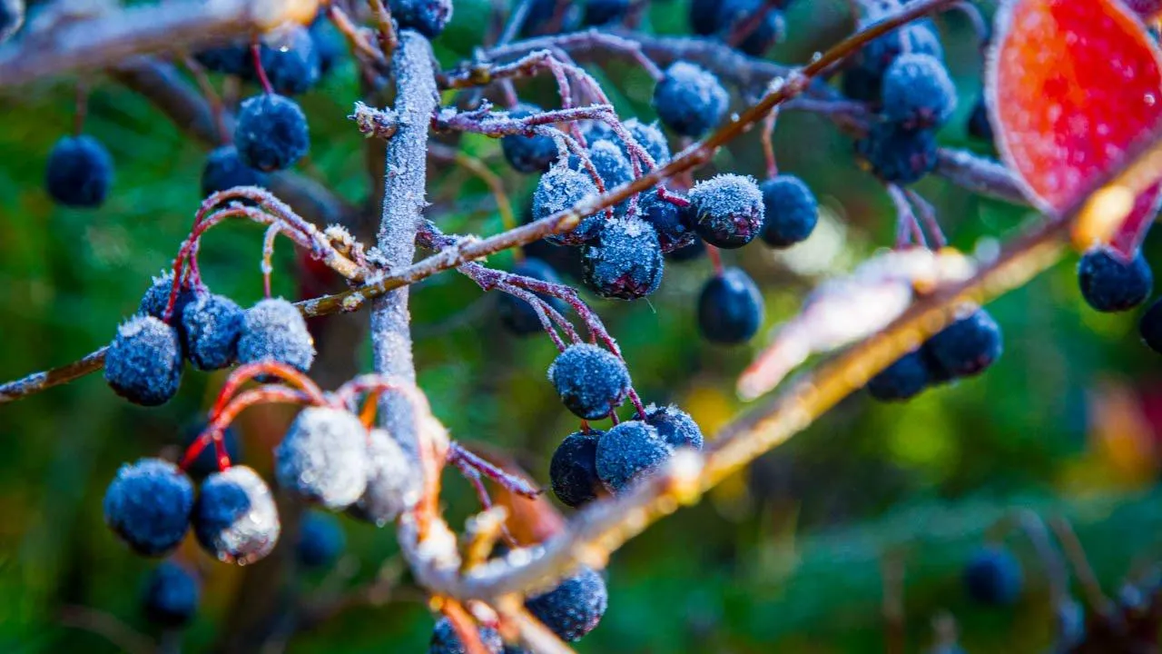 REGIONS/Владимир Ерастов