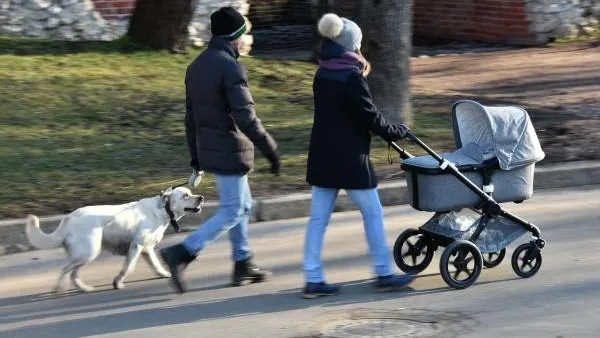 Облачно и до 3 градусов тепла ожидается в первый день весны в столичном регионе