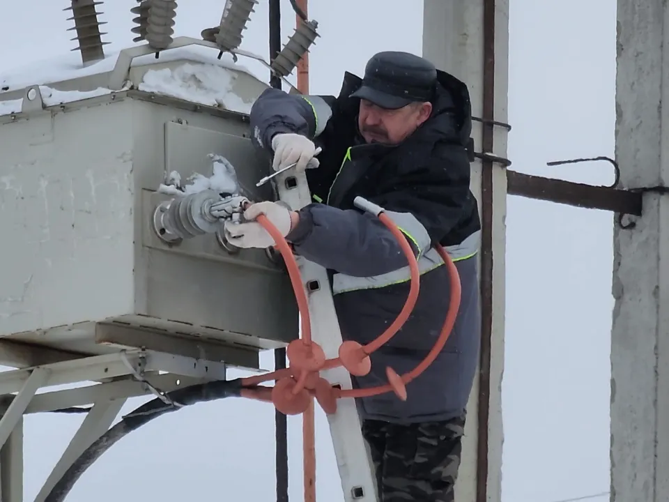 Фото: МедиаБанк Подмосковья/Никита Сморкалов