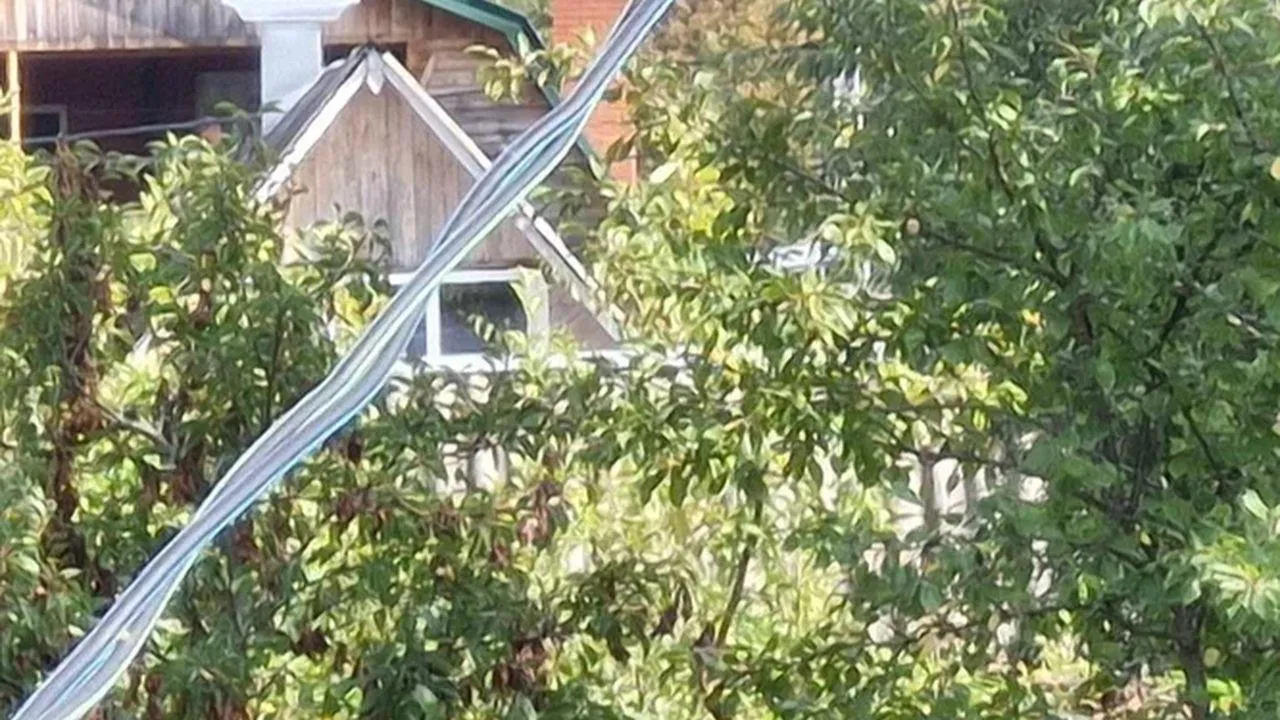 REGIONS/Наталья Надточая