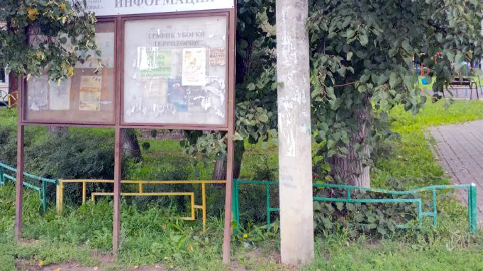 Фото: пресс-служба администрации Одинцовского г.о.