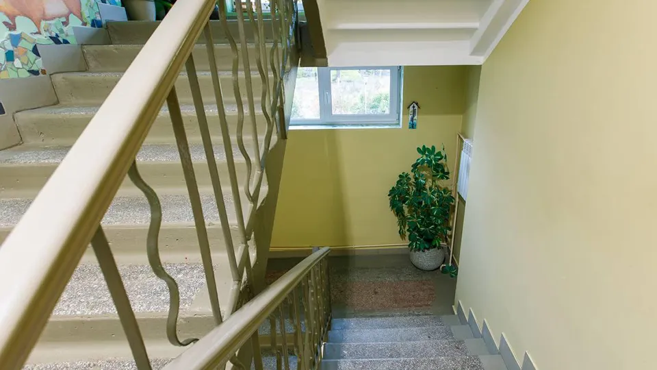 Фото: МедиаБанк Подмосковья/Екатерина Мелкозерова