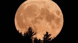 Фото: РИА Новости/Илья Наймушин