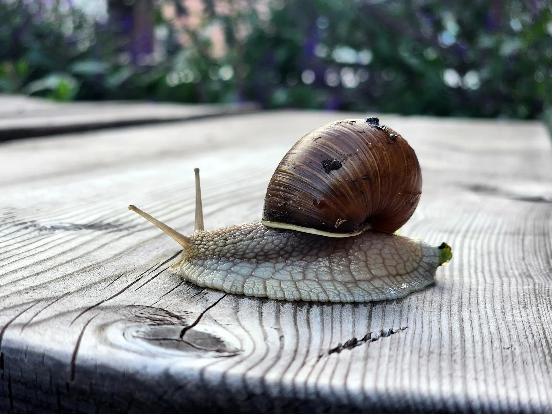Фото: Мария Панина