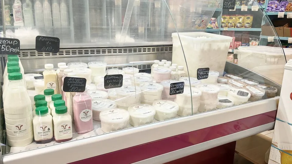 Фото: МедиаБанк Подмосковья/Елена Катасонова