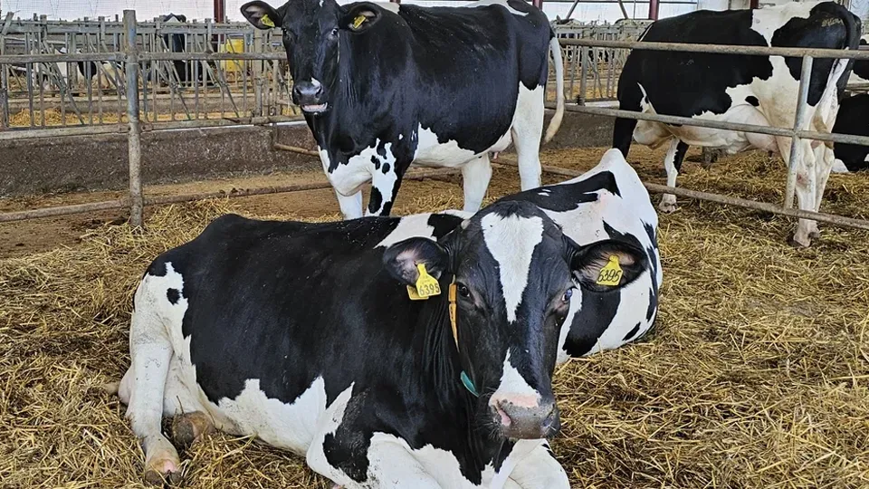 Фото: пресс-служба губернатора и правительства Московской области