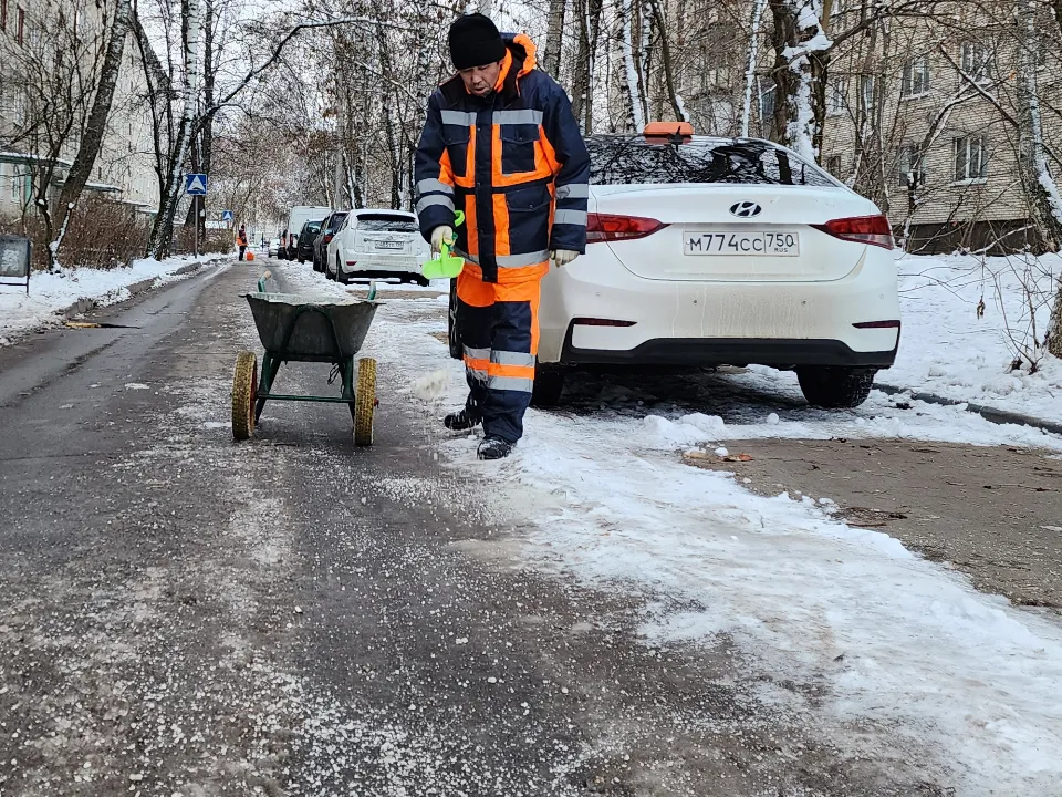 Фото: МедиаБанк Подмосковья/Андрей Алекин