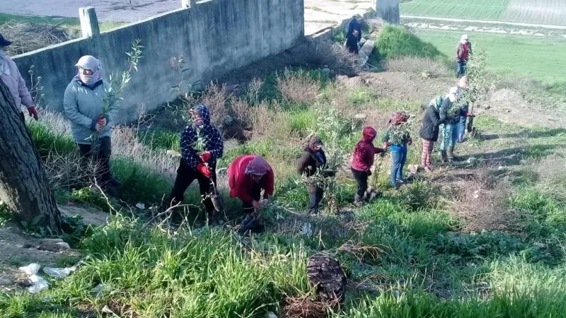 Жители Сирии приводят в порядок территории