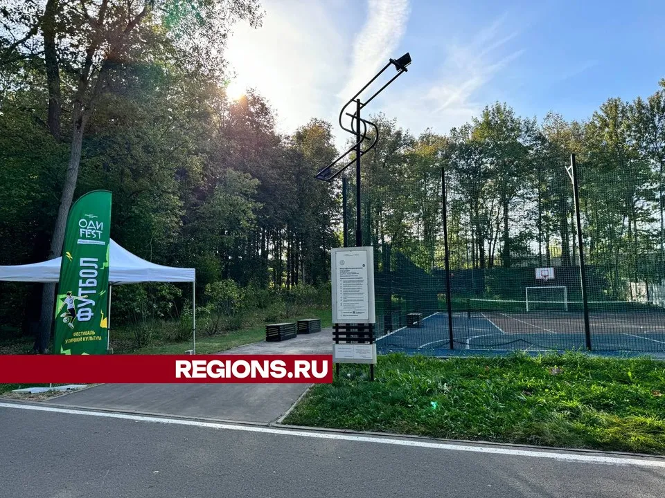 Фото: Екатерина Шляпникова