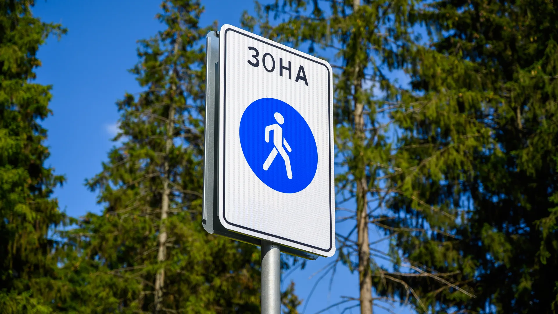 На юго-западе Москвы легковушка протаранила сразу пять припаркованных авто