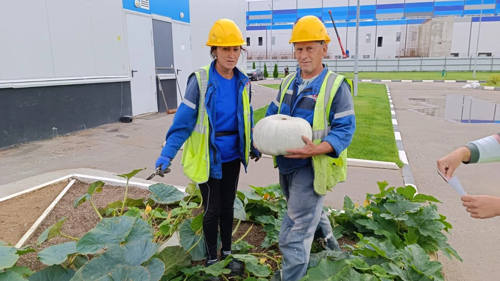 Группа ЭкоЛайн