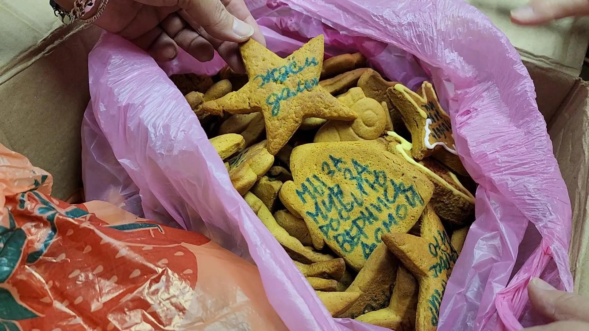 Сморкалов Никита