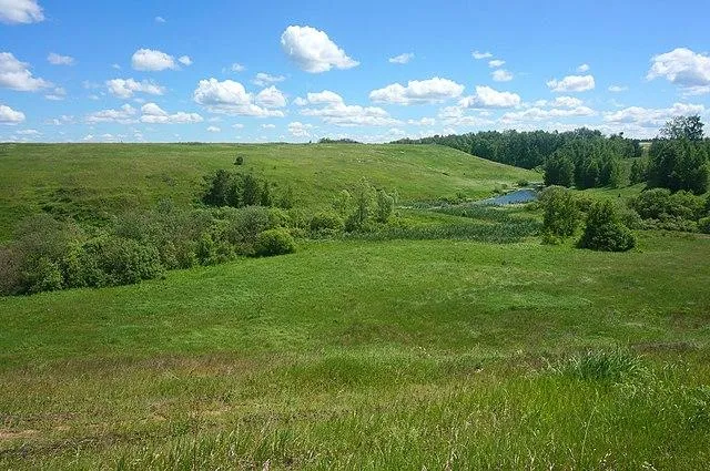 Река Мусорка, Ставропольский район Самарской области