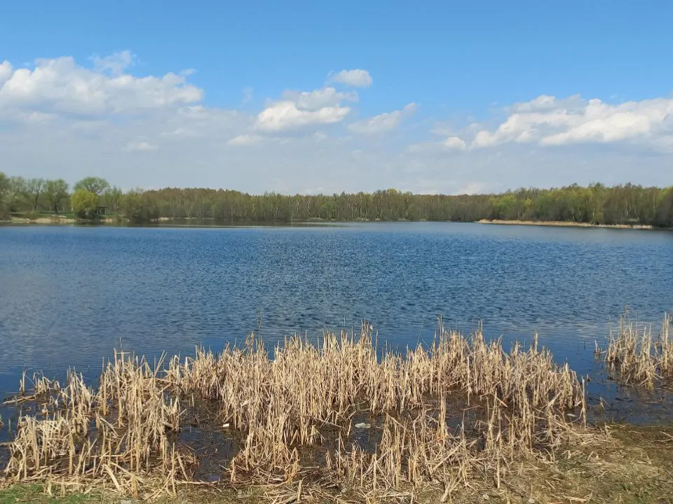 Фото: REGIONS/Олег Книжник