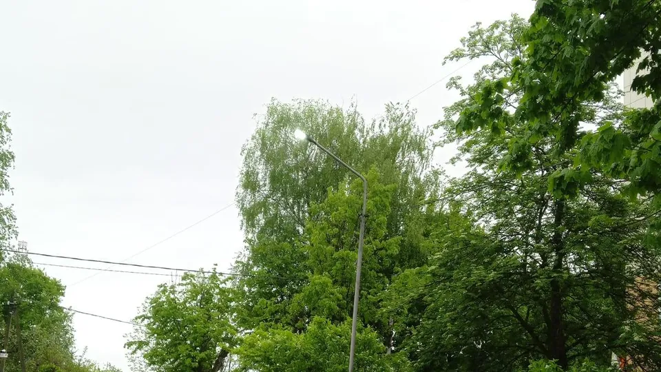 Фото: пресс-служба администрации м.о. Лотошино